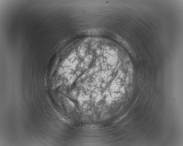 X0000082730161200702161916