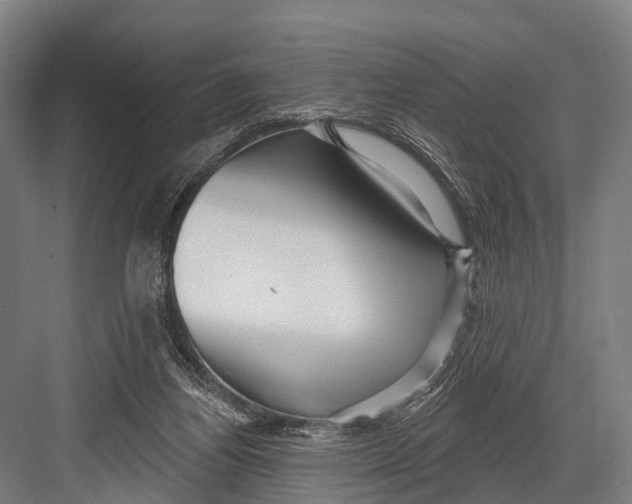 X0000082730164200702161916