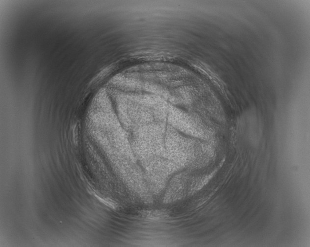 X0000082730165200702161916