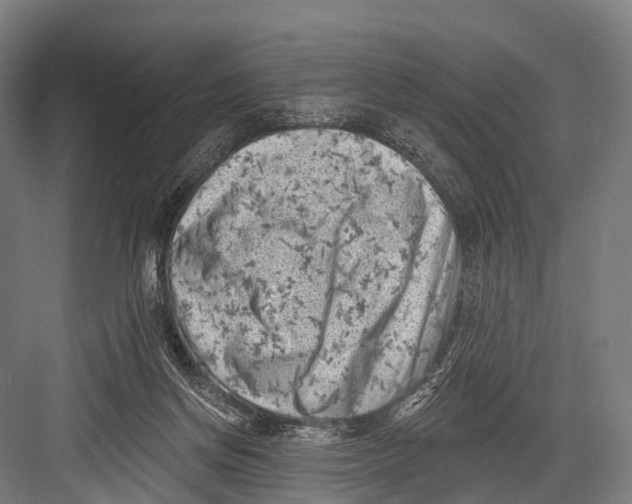 X0000082730166200702161916