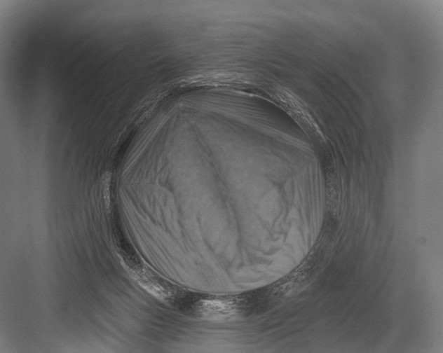 X0000082730167200702161916