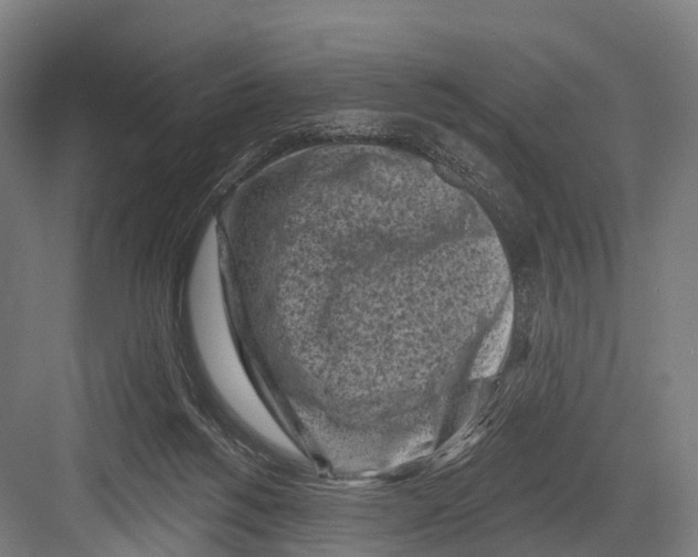 X0000082730168200702161916