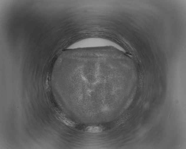 X0000082730169200702161916