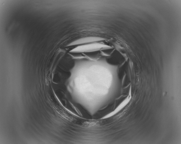 X0000082730170200702161916