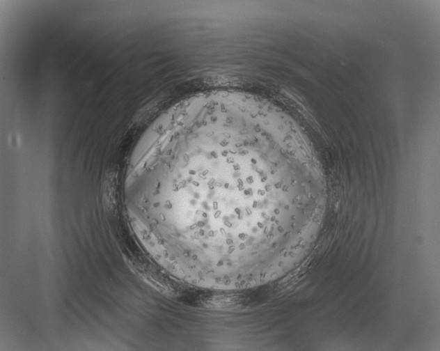 X0000082730171200702161916