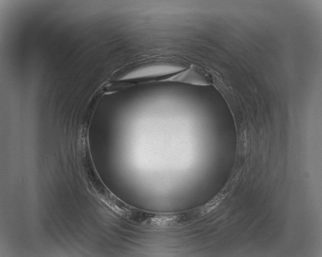 X0000082730172200702161916