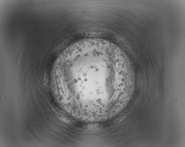 X0000082730173200702161916