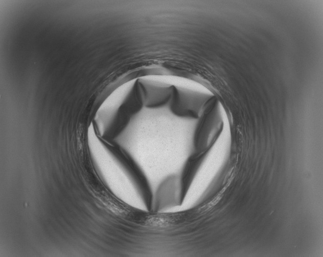 X0000082730174200702161916