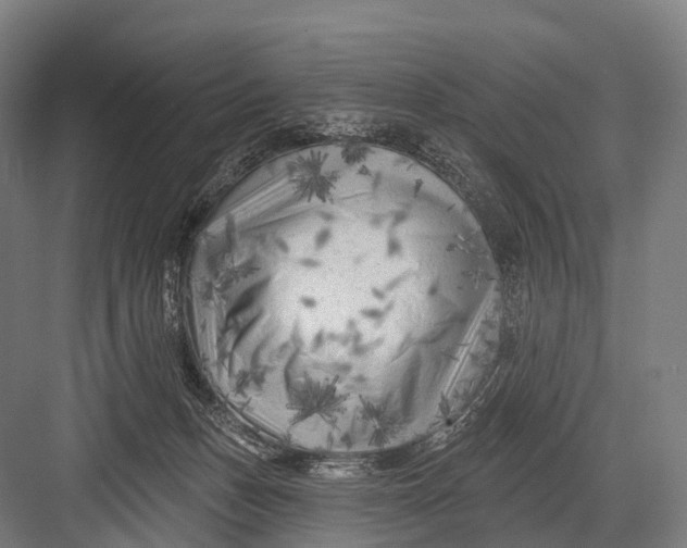 X0000082730175200702161916