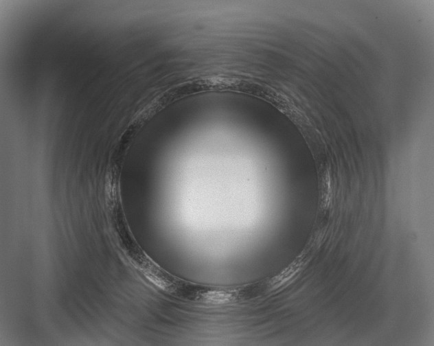 X0000082730176200702161916