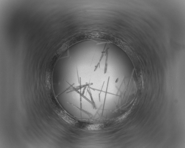 X0000082730178200702161916