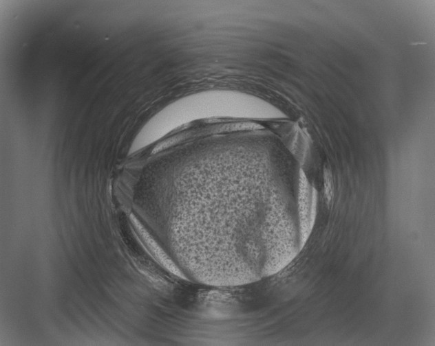 X0000082730180200702161916