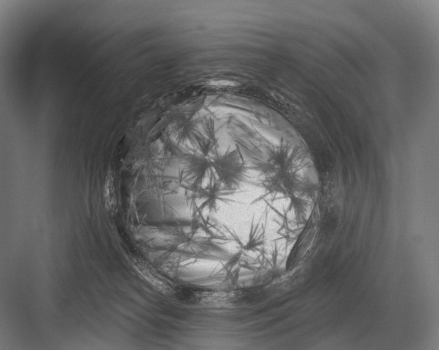 X0000082730182200702161917