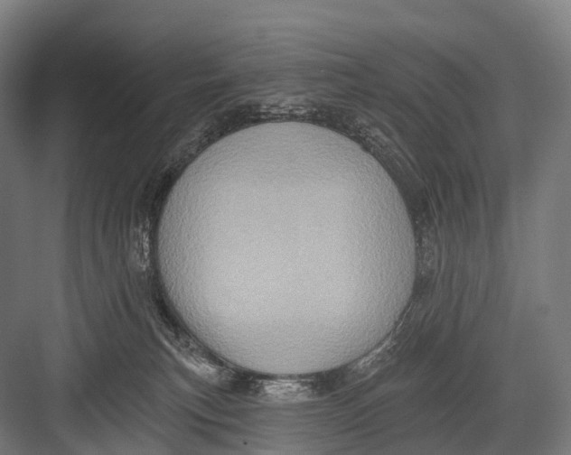 X0000082730183200702161917