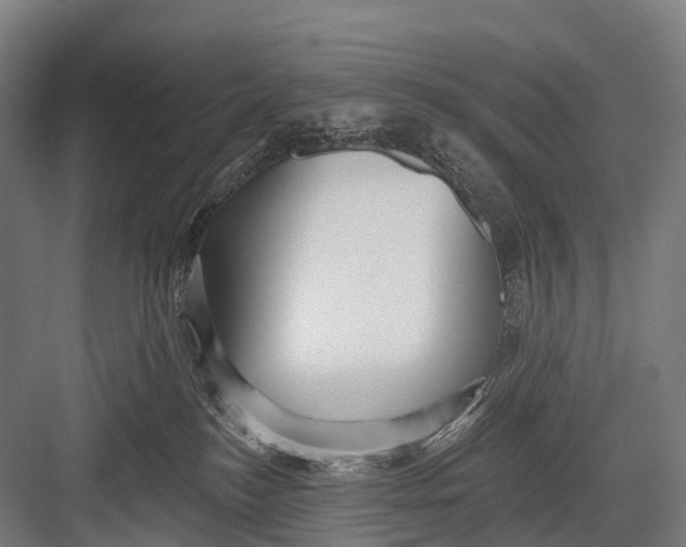 X0000082730184200702161917