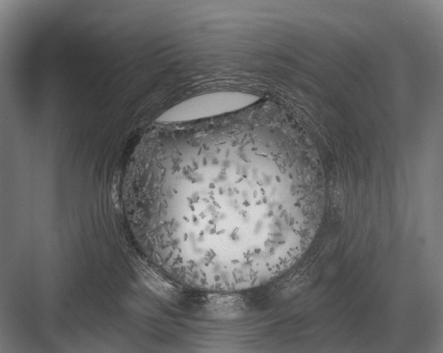 X0000082730185200702161917