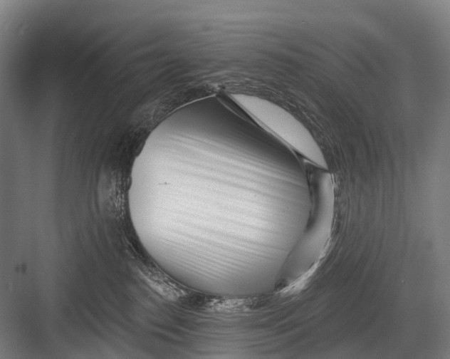 X0000082730186200702161917