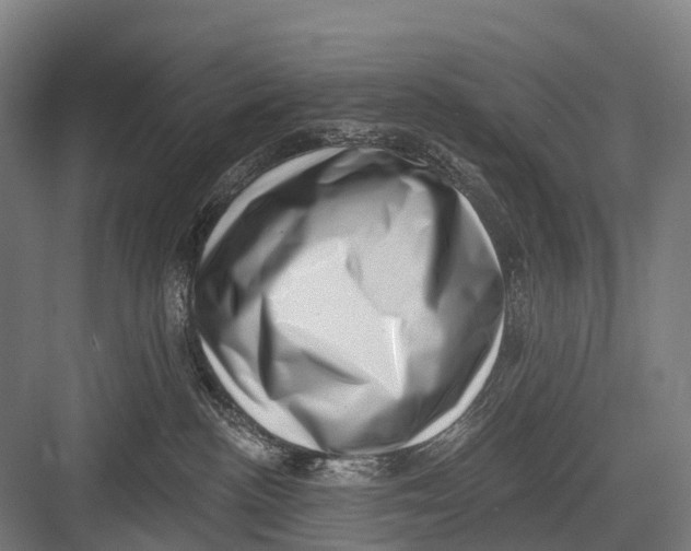 X0000082730188200702161917