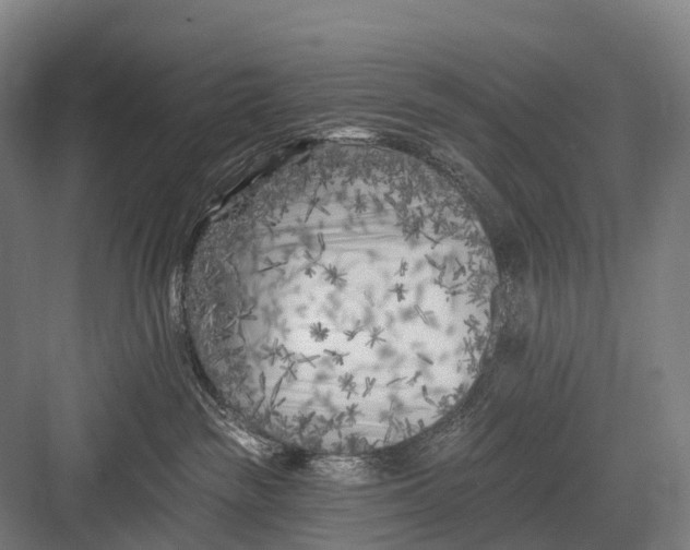 X0000082730189200702161917