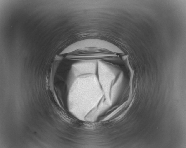 X0000082730190200702161917