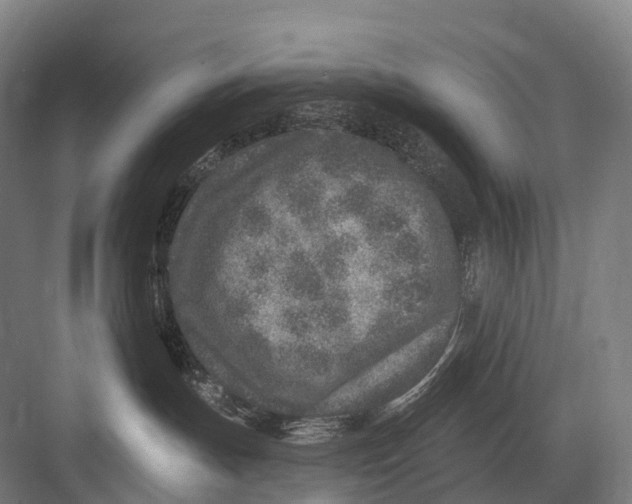 X0000082730191200702161917