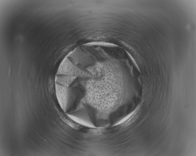 X0000082730192200702161917