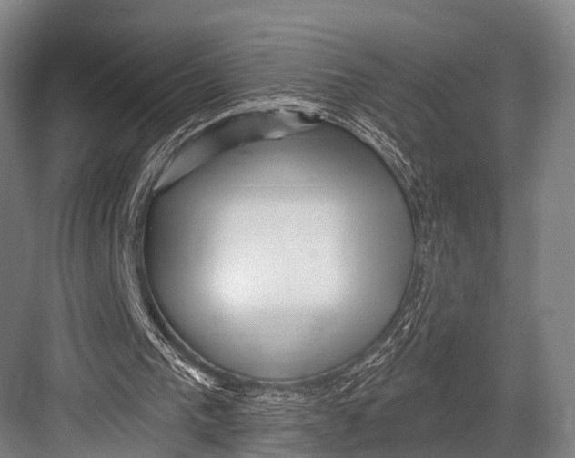 X0000082730193200702161916