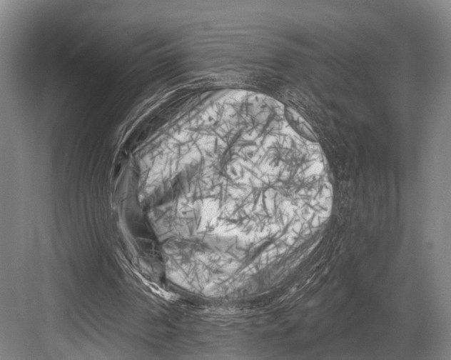 X0000082730194200702161916