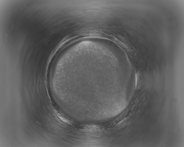 X0000082730195200702161916