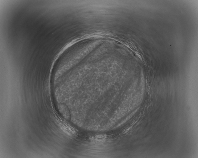 X0000082730196200702161916