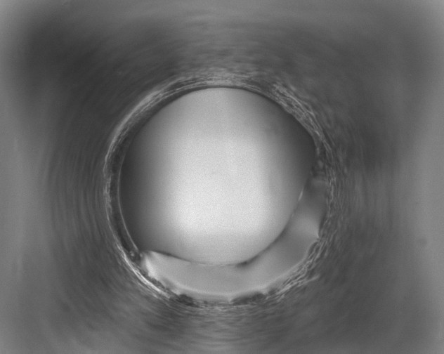 X0000082730197200702161916