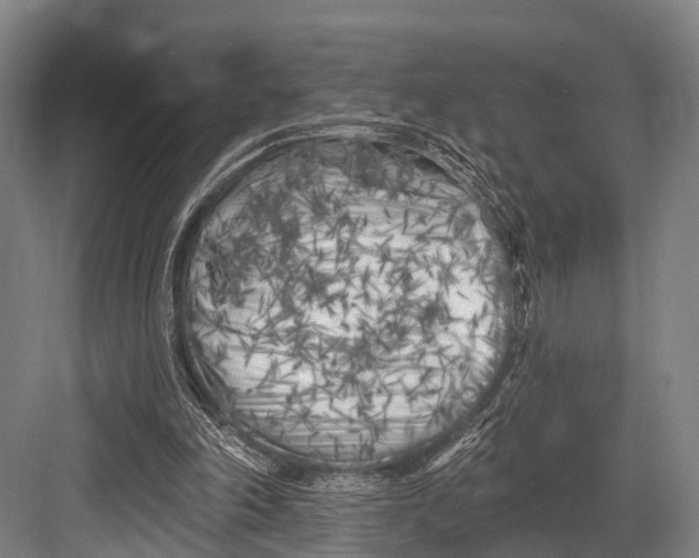 X0000082730198200702161916