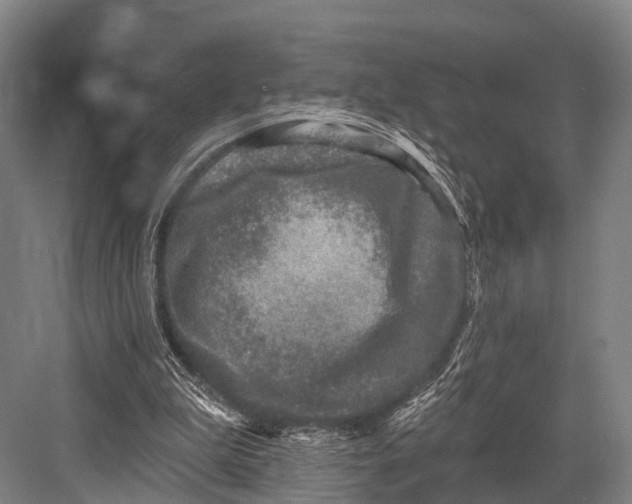 X0000082730199200702161916