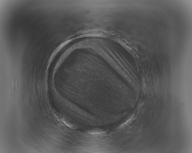 X0000082730200200702161916