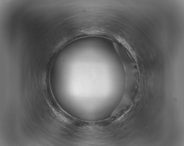 X0000082730201200702161916