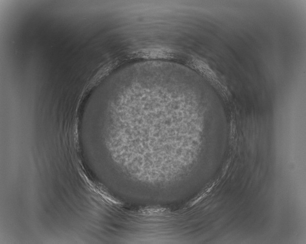 X0000082730202200702161916