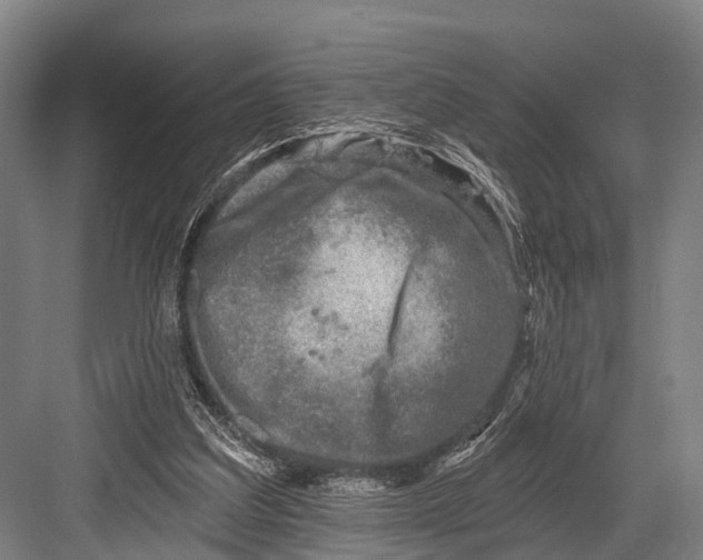 X0000082730203200702161916