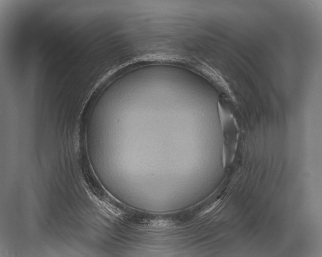 X0000082730204200702161916