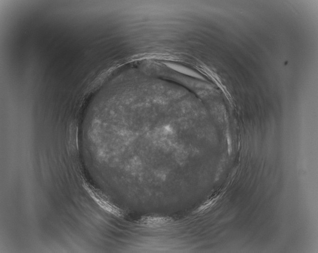 X0000082730205200702161916