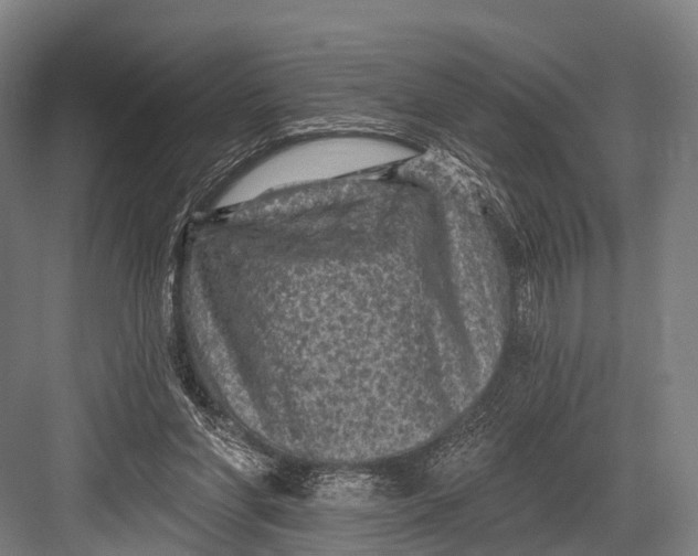 X0000082730206200702161916