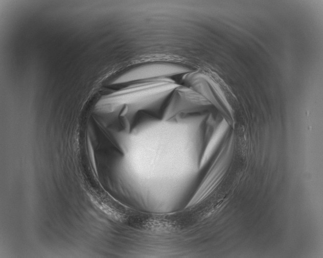 X0000082730207200702161916