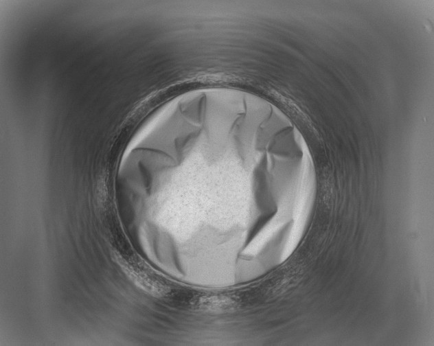 X0000082730208200702161916