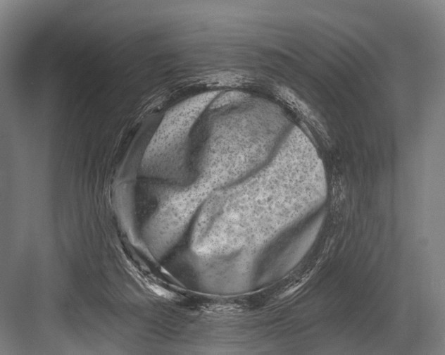 X0000082730209200702161916