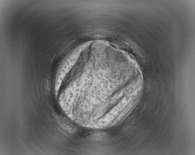 X0000082730210200702161916