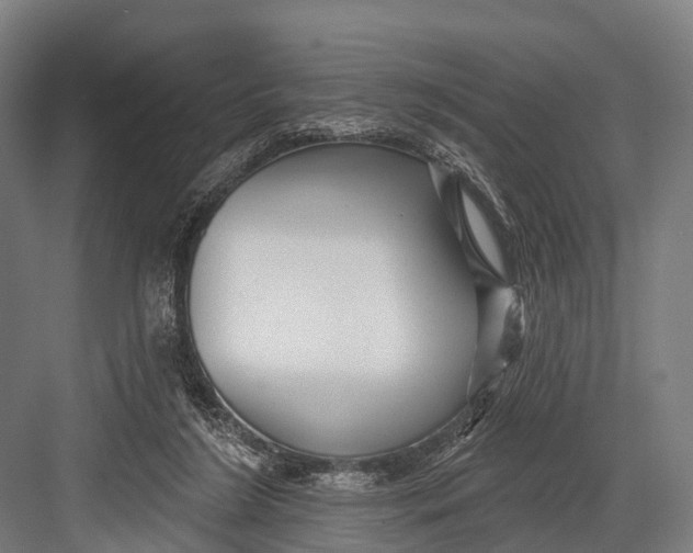 X0000082730212200702161916