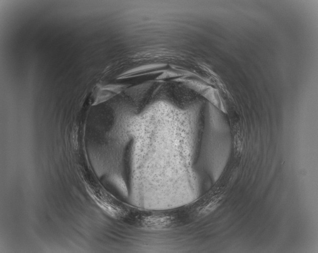 X0000082730213200702161916