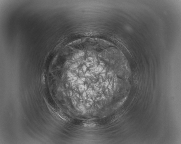 X0000082730214200702161916