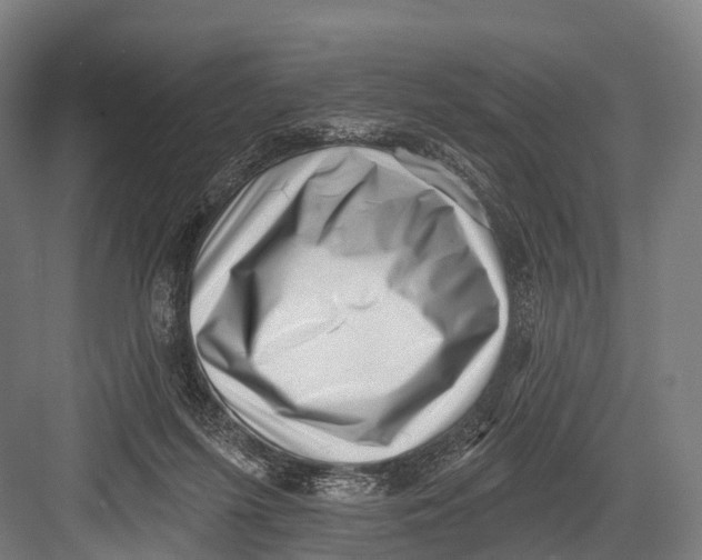 X0000082730215200702161916