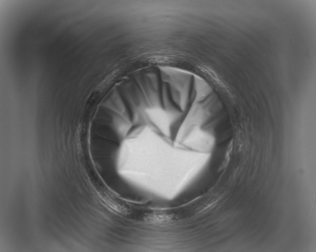 X0000082730217200702161915