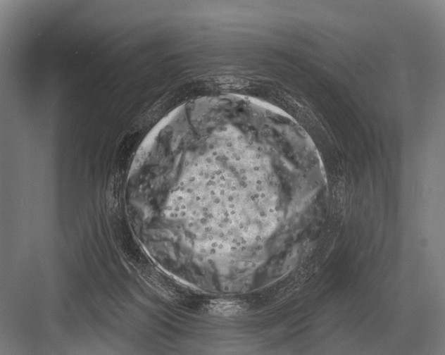 X0000082730218200702161915